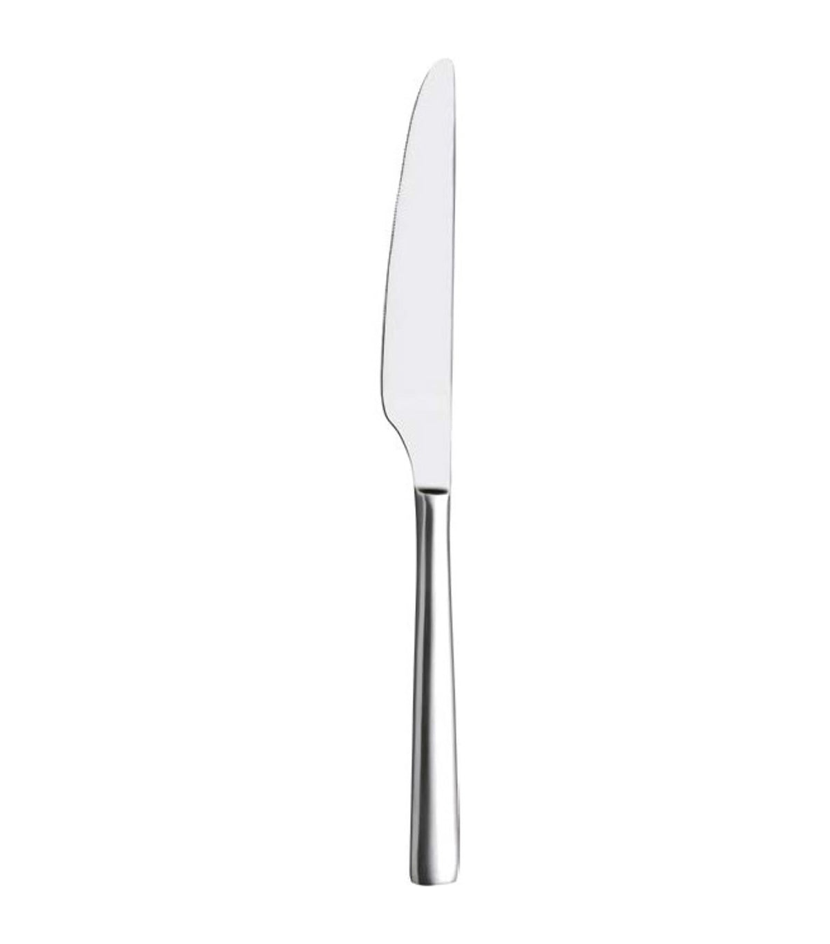 Ergo 18/10 Dessert Knife, Set of 6, Avana Box