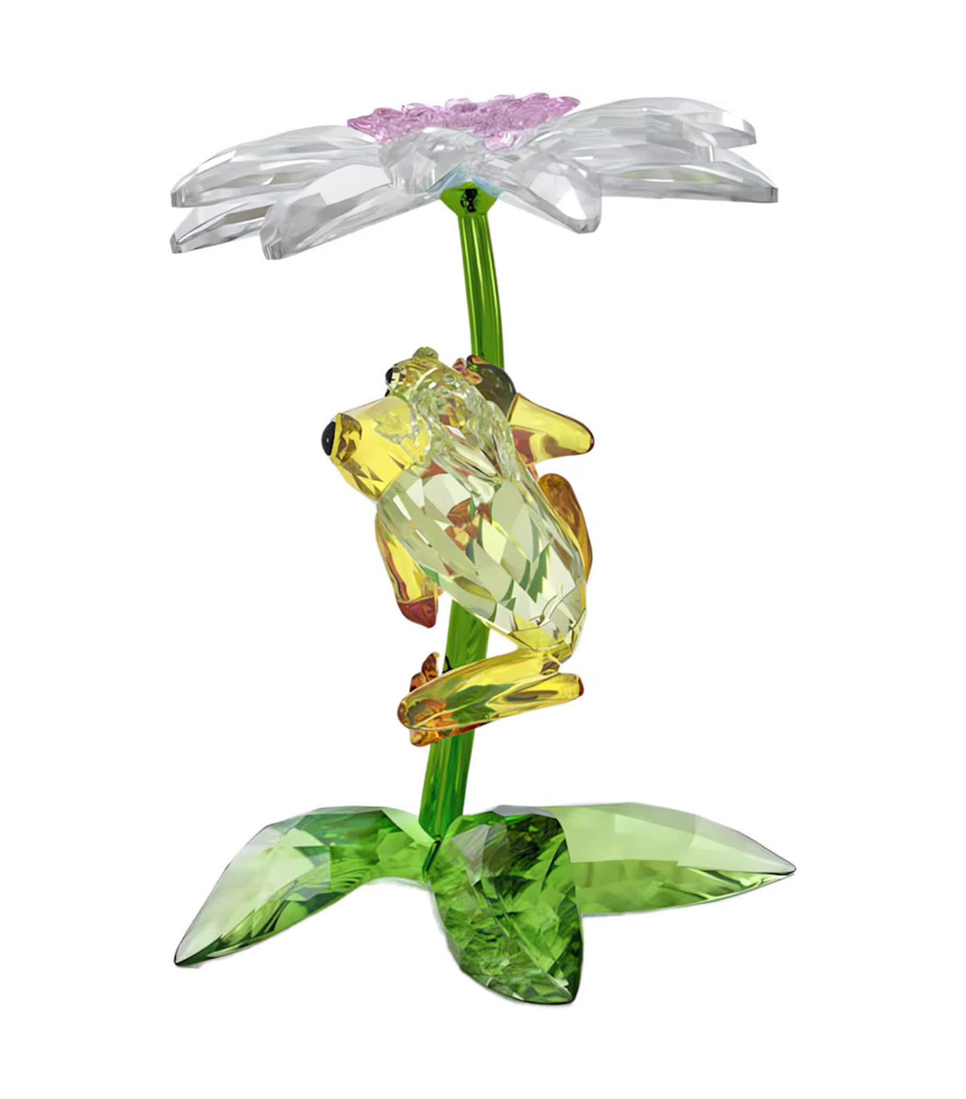 Idyllia Frogs and Flower