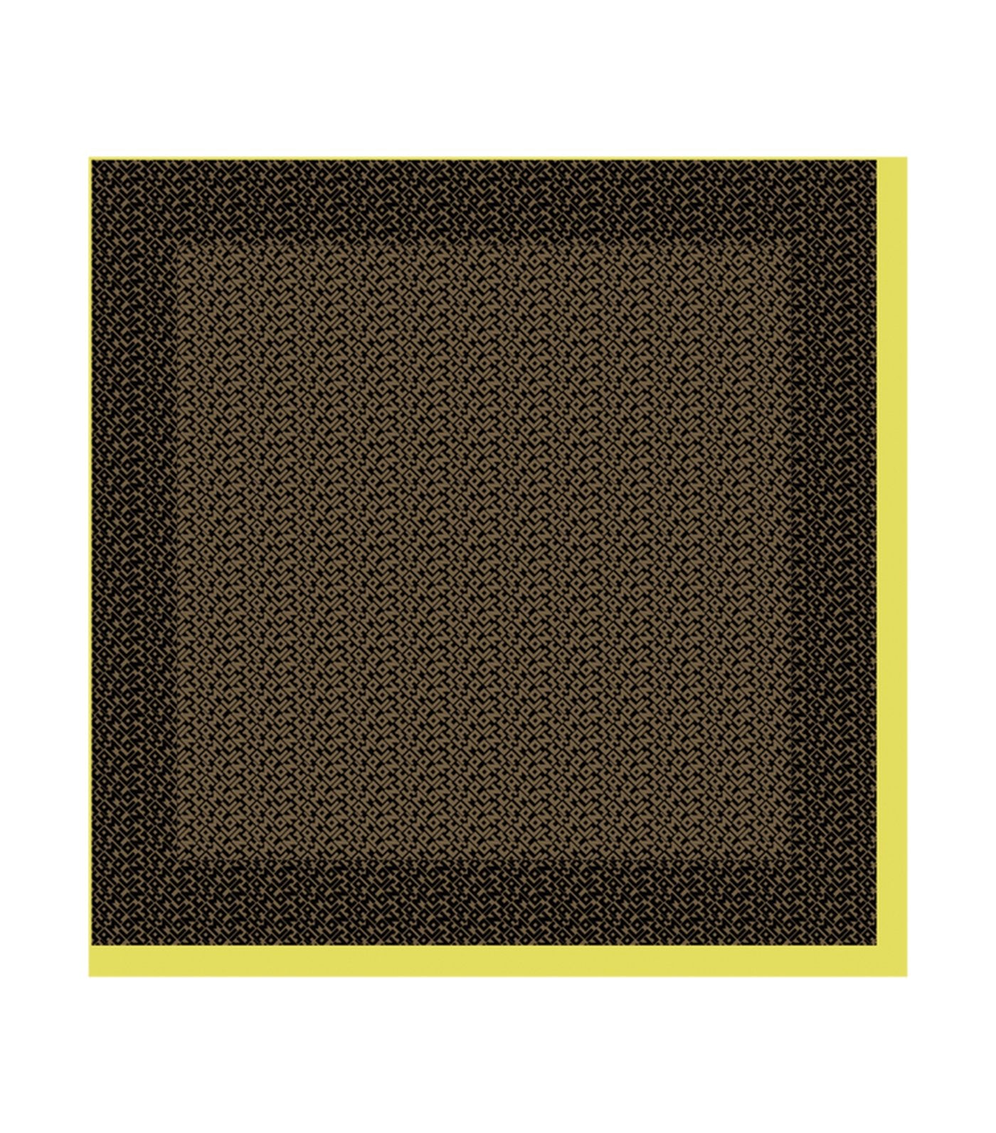 Le Pliage LGP Silk Scarf Black and Khaki