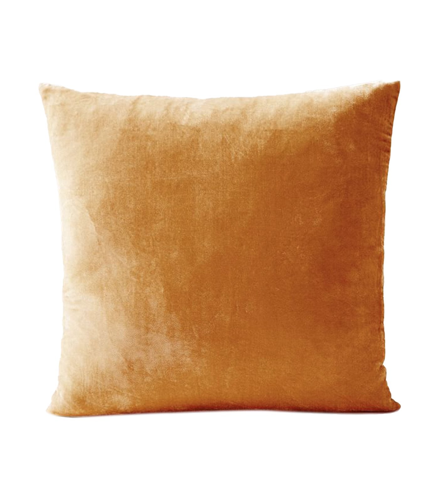 West Elm Lush Velvet Pillow Cover