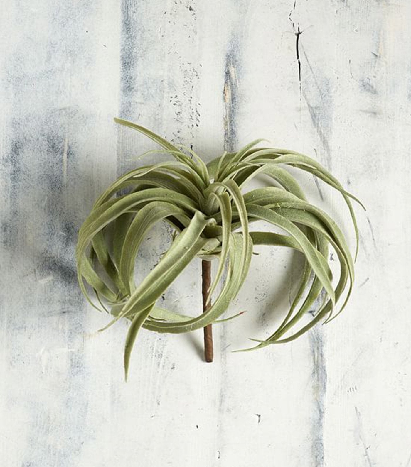 Pottery Barn Faux Tillandsia Succulent Stem