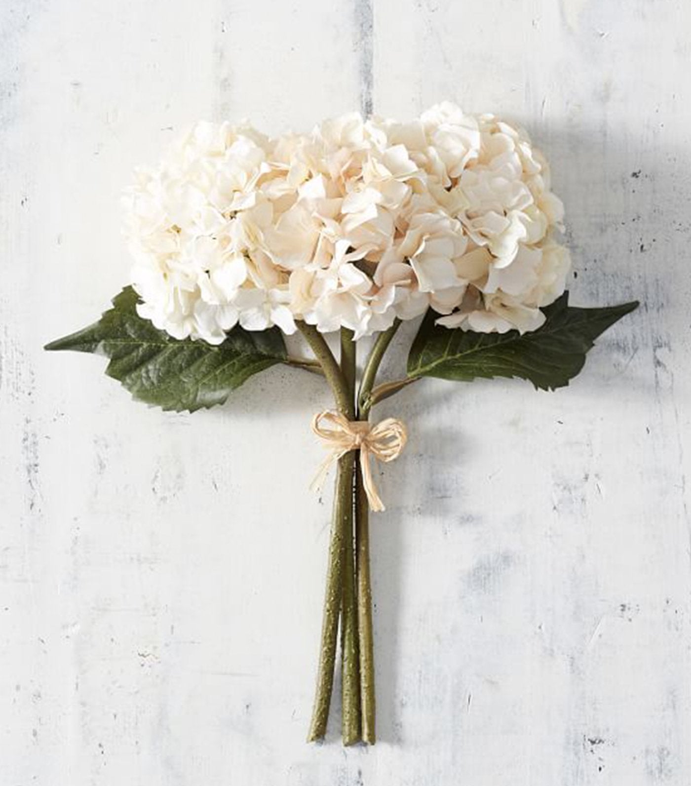 Pottery Barn Lace Hydrangea Bundle - Ivory