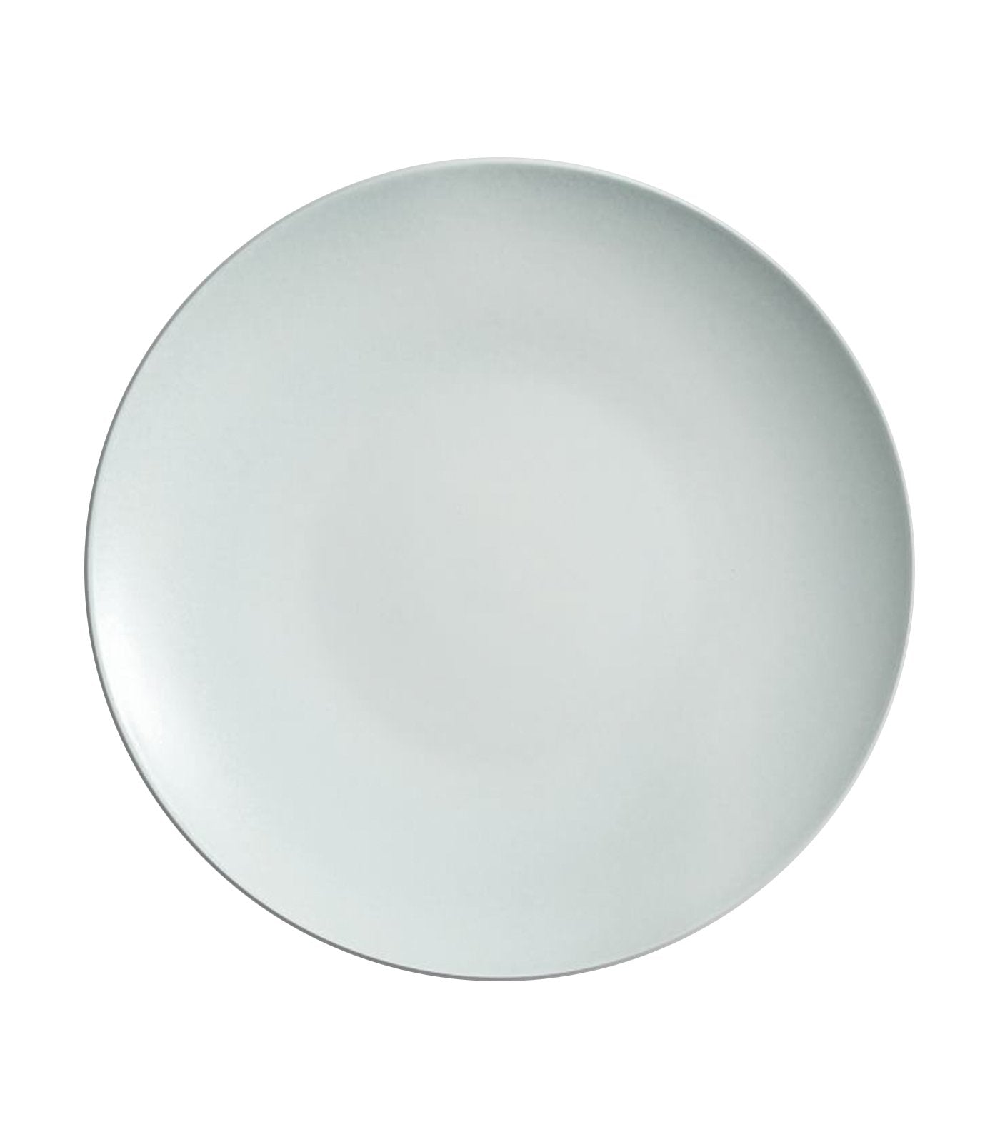 Pottery Barn Mason Stoneware Dinner Plate - Blue