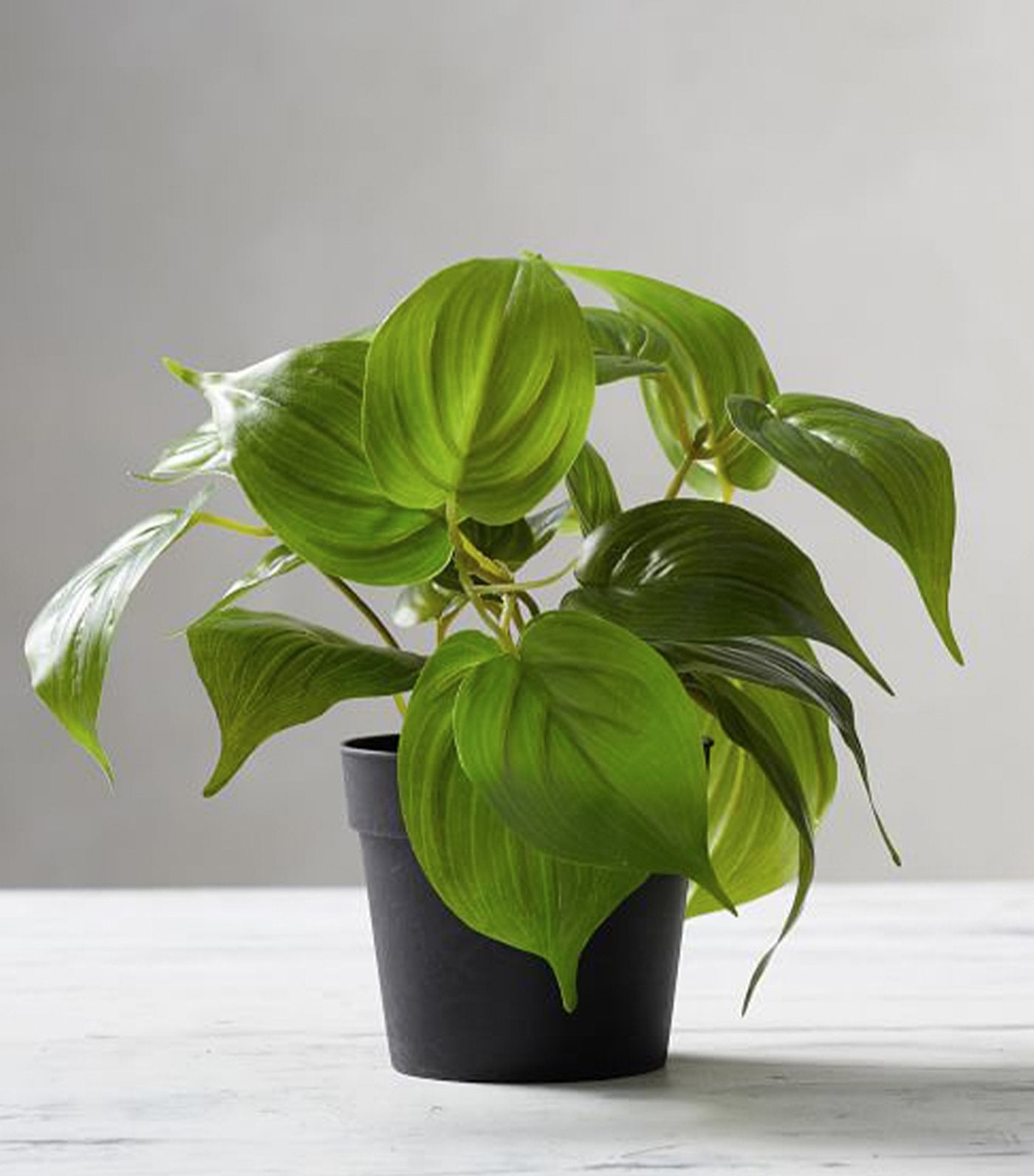 pottery barn faux potted pothos houseplant