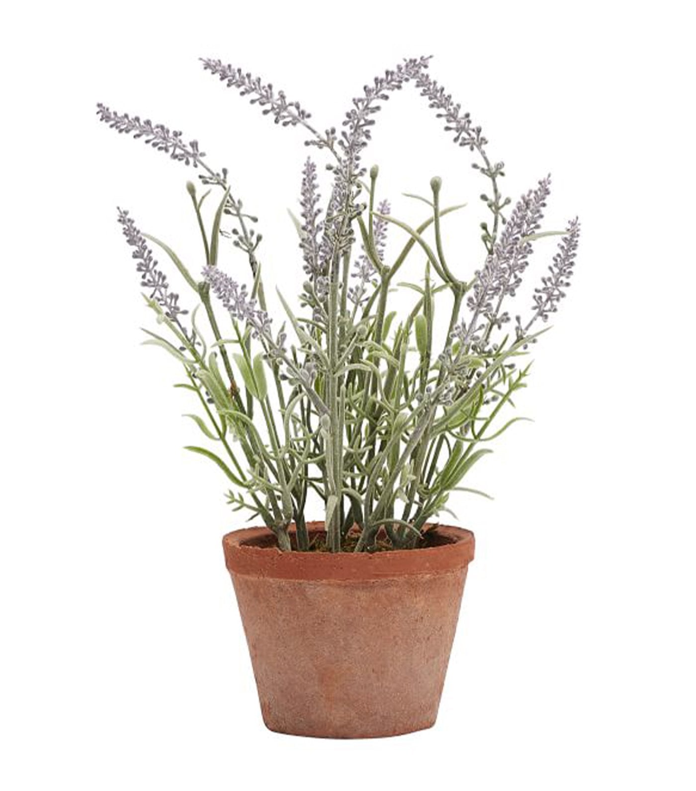 pottery barn small faux potted lavender in yerra cotta pot