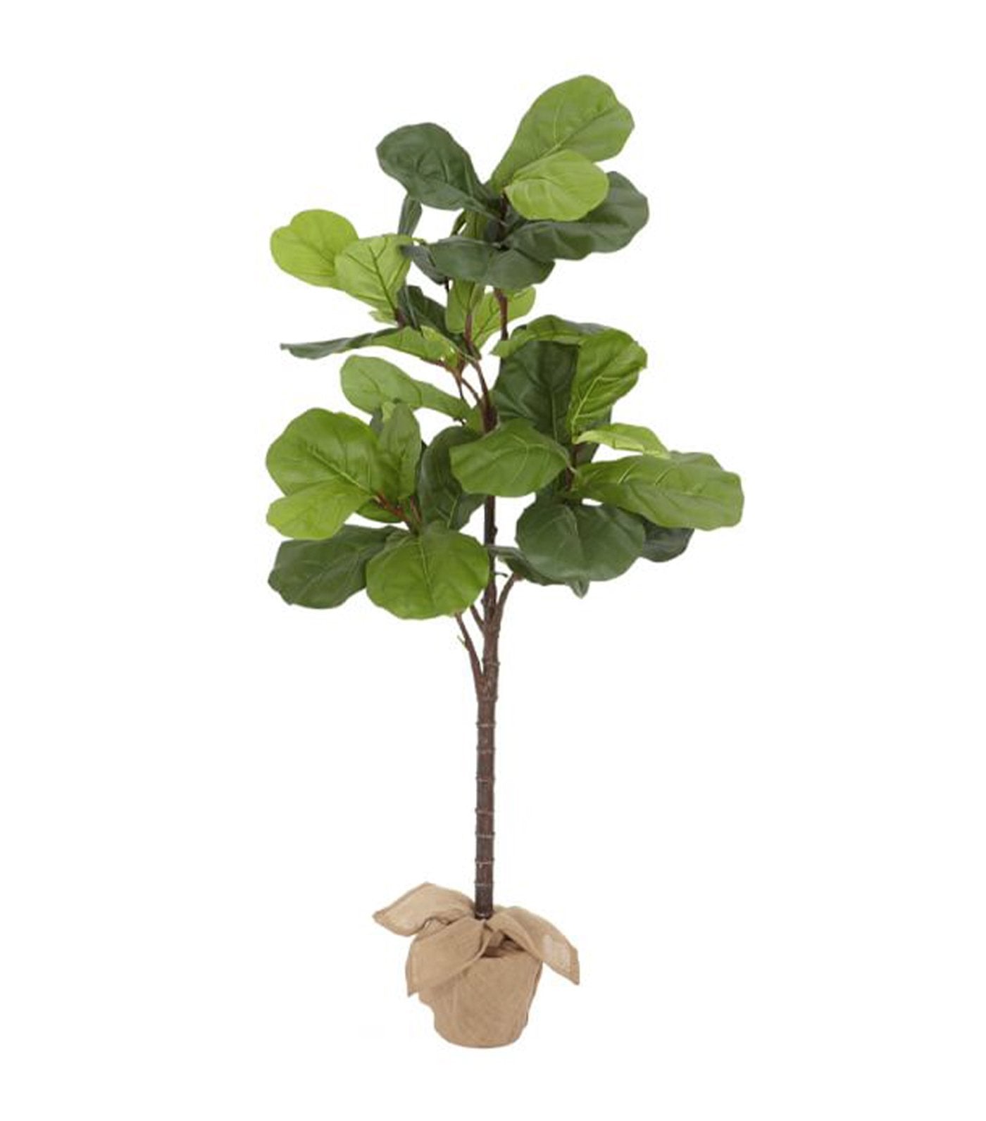 pottery barn 6.9 feet faux potted fiddle leaf fig trees