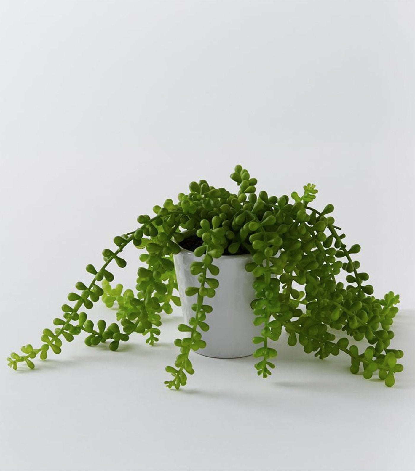 west elm faux potted trailing succulent
