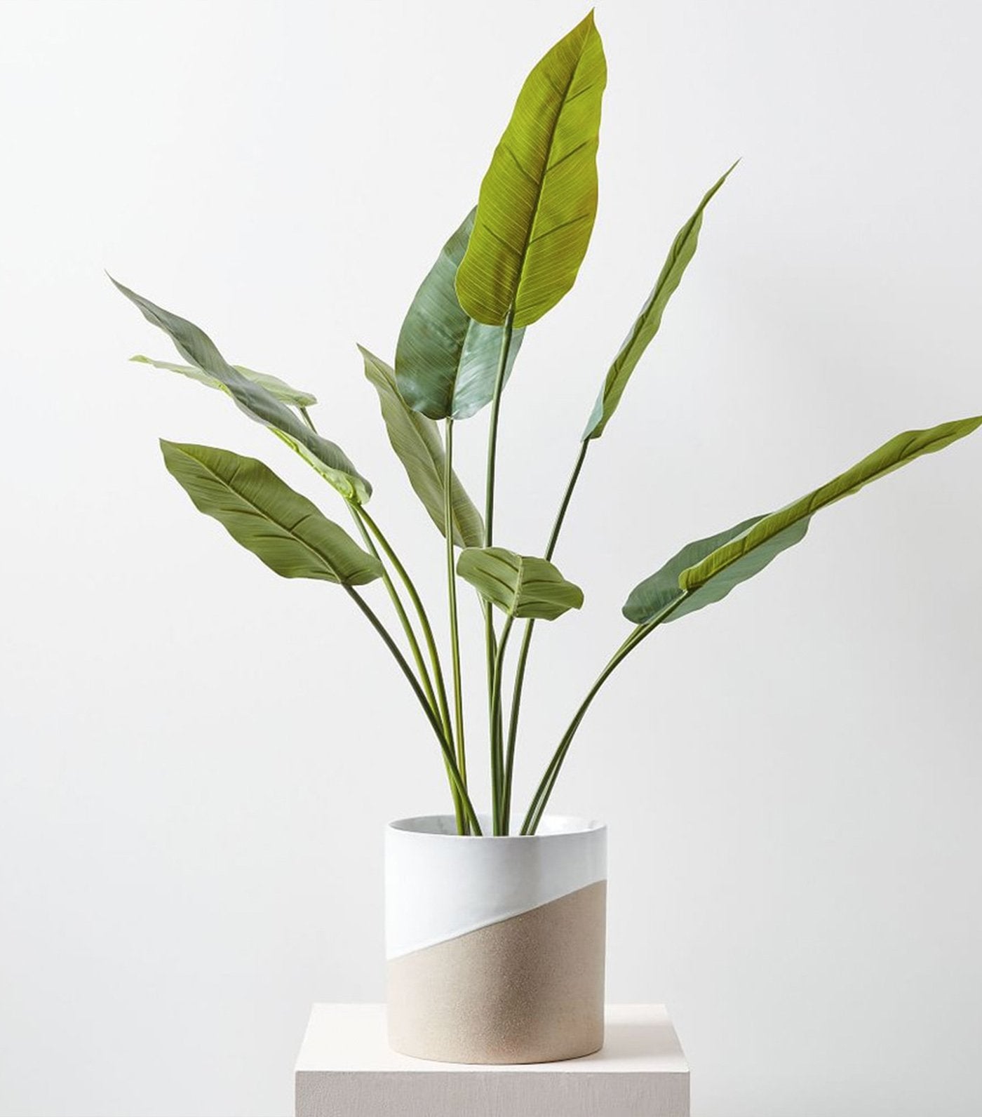 west elm faux crane flower