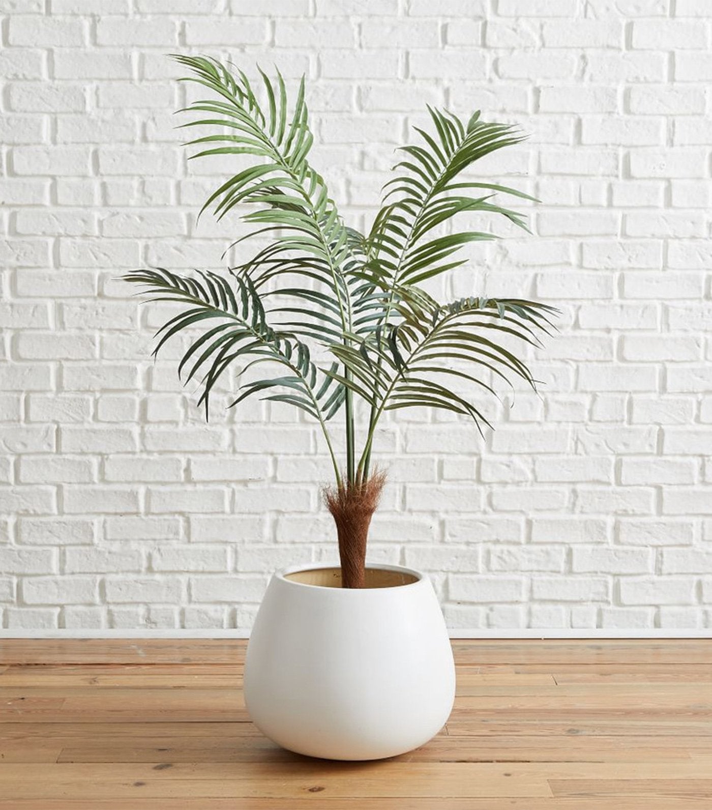 west elm faux fan palm tree