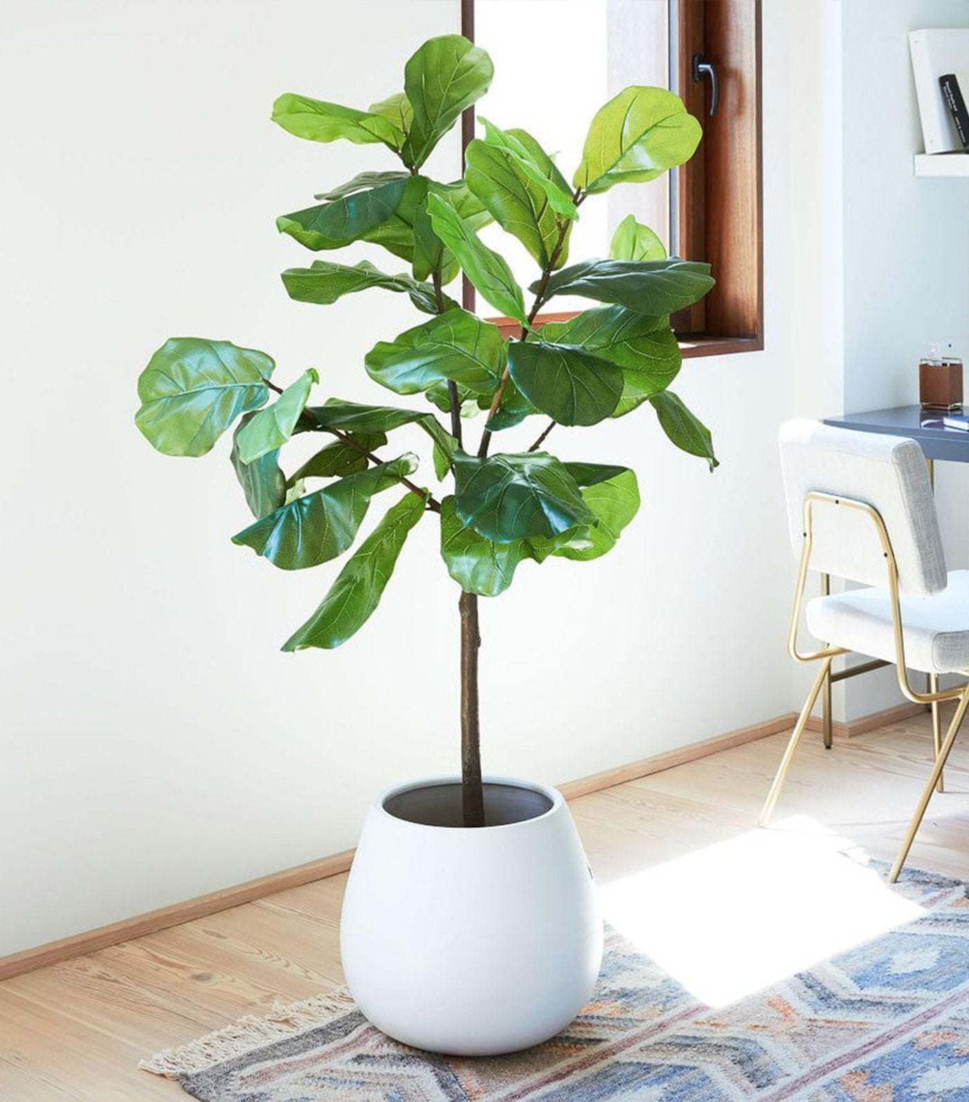 west elm faux fiddle leaf fig plant