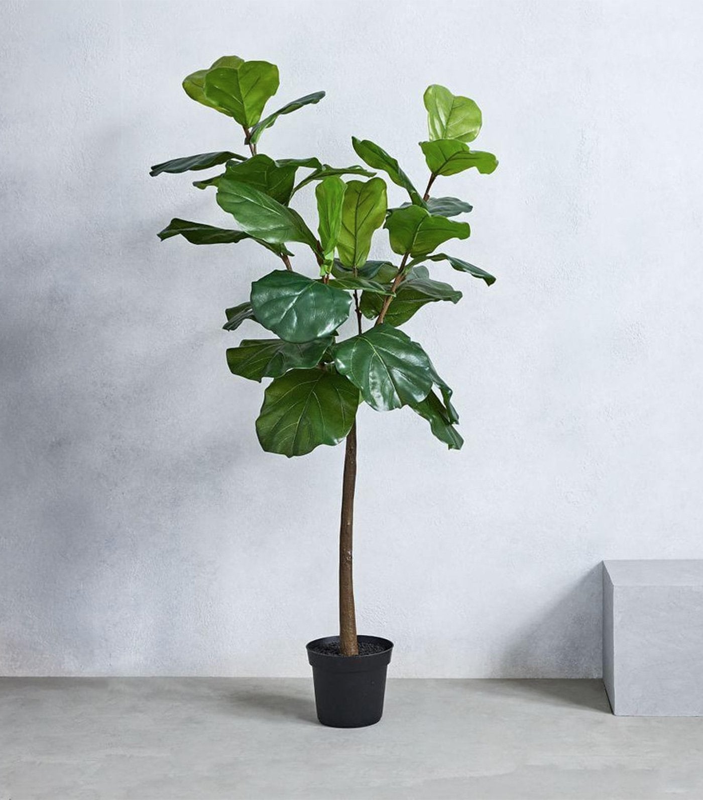 west elm faux fiddle leaf fig plant