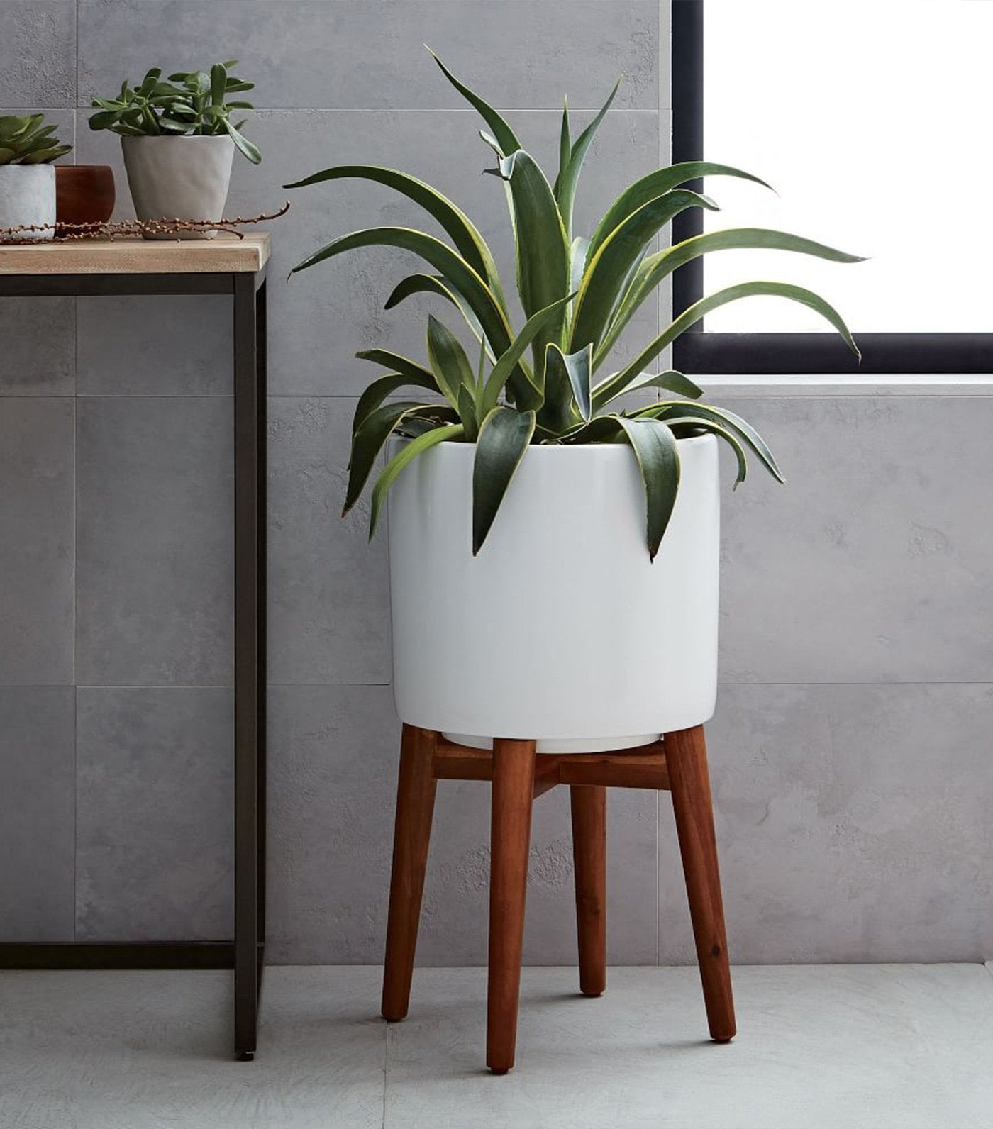 west elm Mid-Century Turned Wood Leg Planter - Solid White