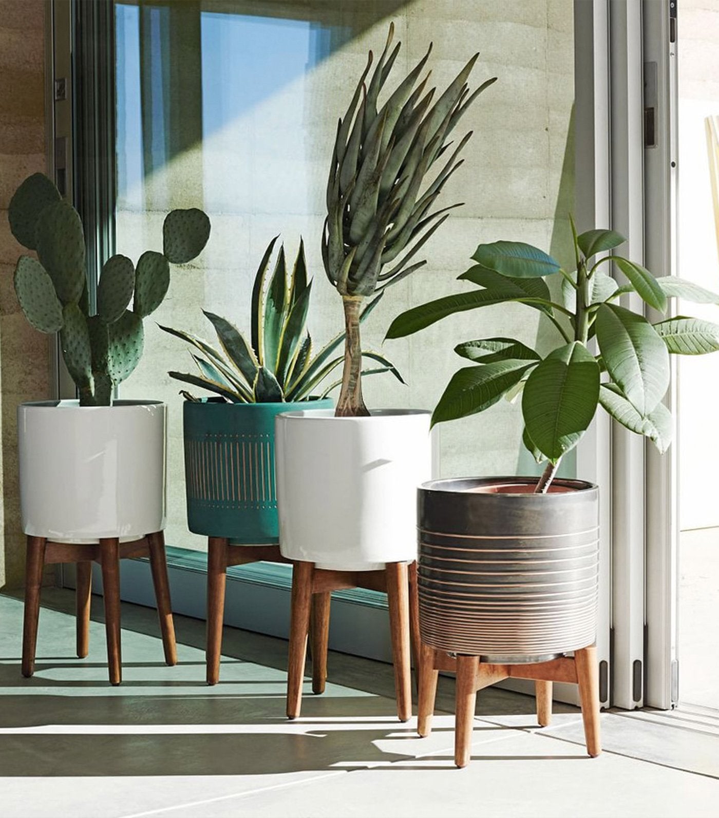 west elm Mid-Century Turned Wood Leg Planter - Solid White