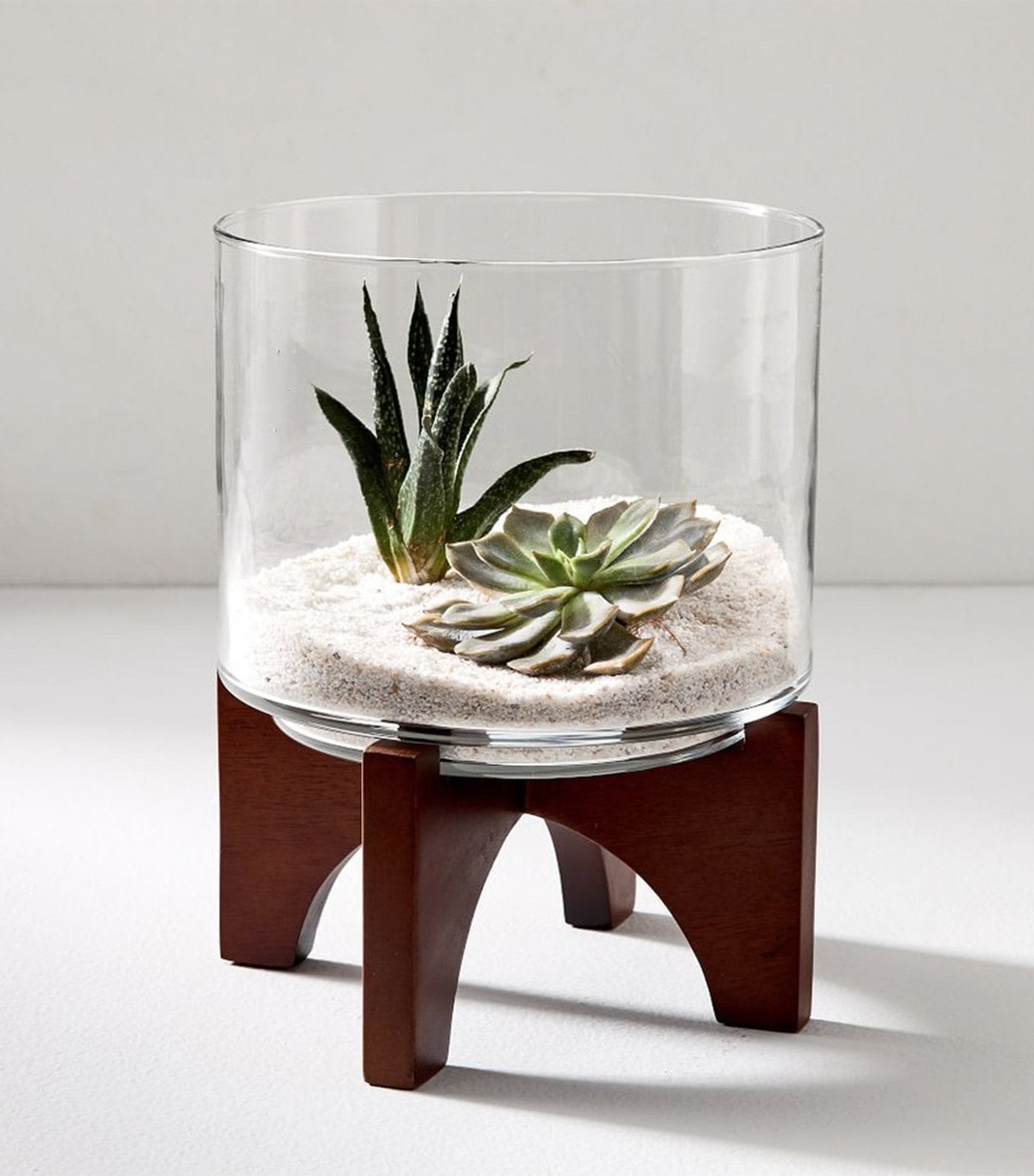 west elm turned wood terrarium