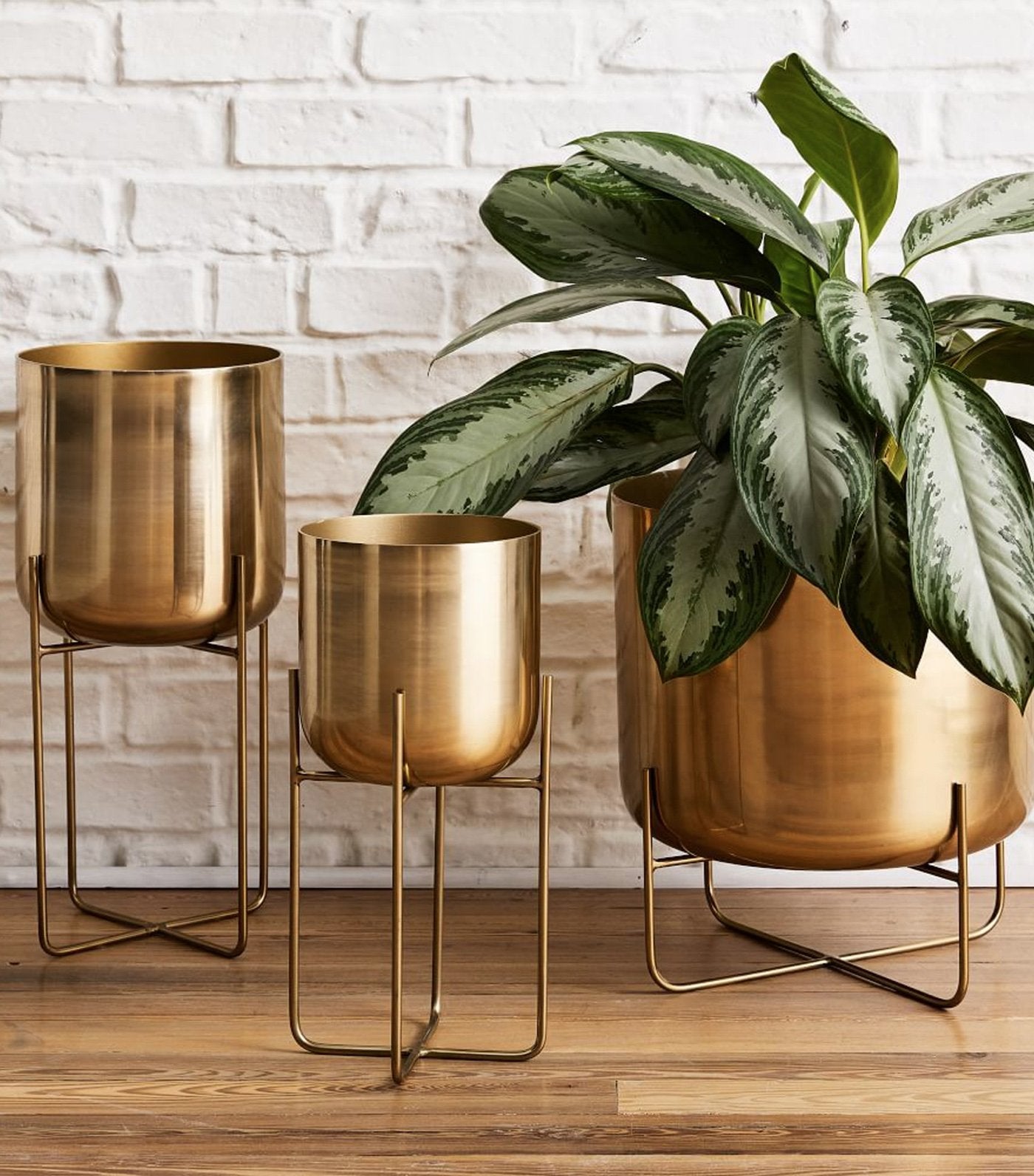 west elm Spun Metal Standing Planters - Brass