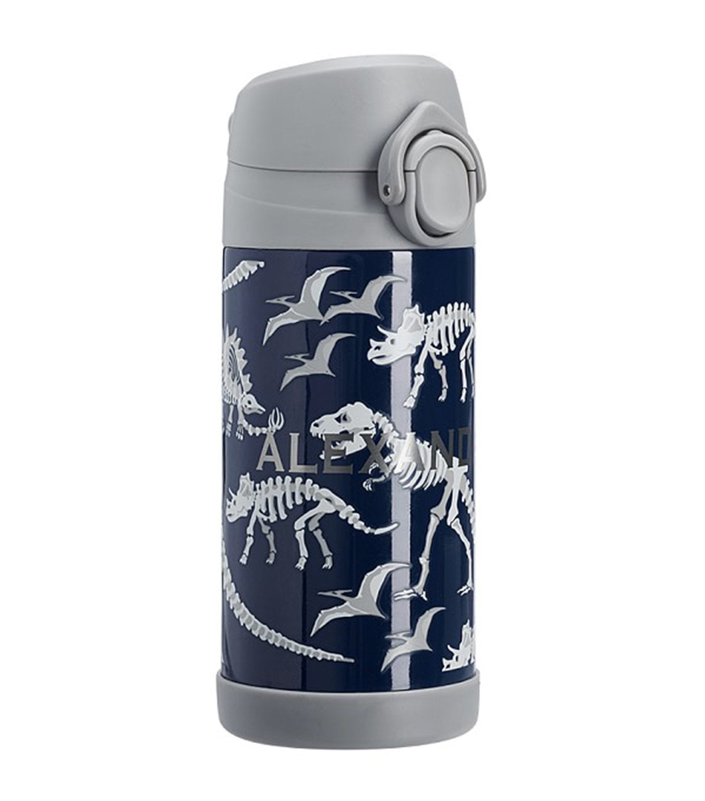 pottery barn kids mackenzie blue/gray glow-in-the-dark dinos regular water bottle