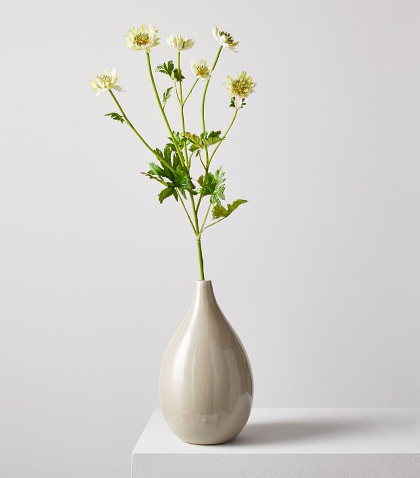 west elm Faux Astrantia