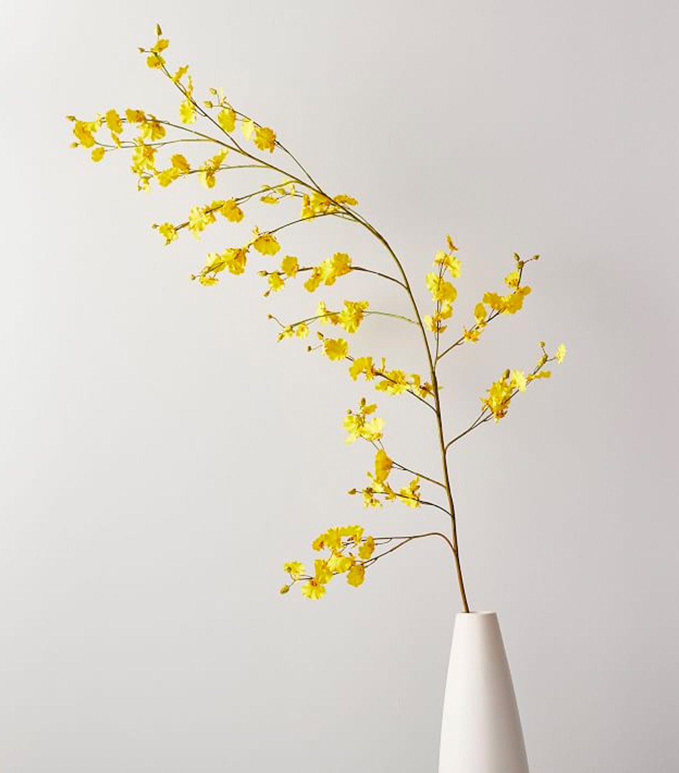 west elm Faux Dancing Lady Orchid Branch