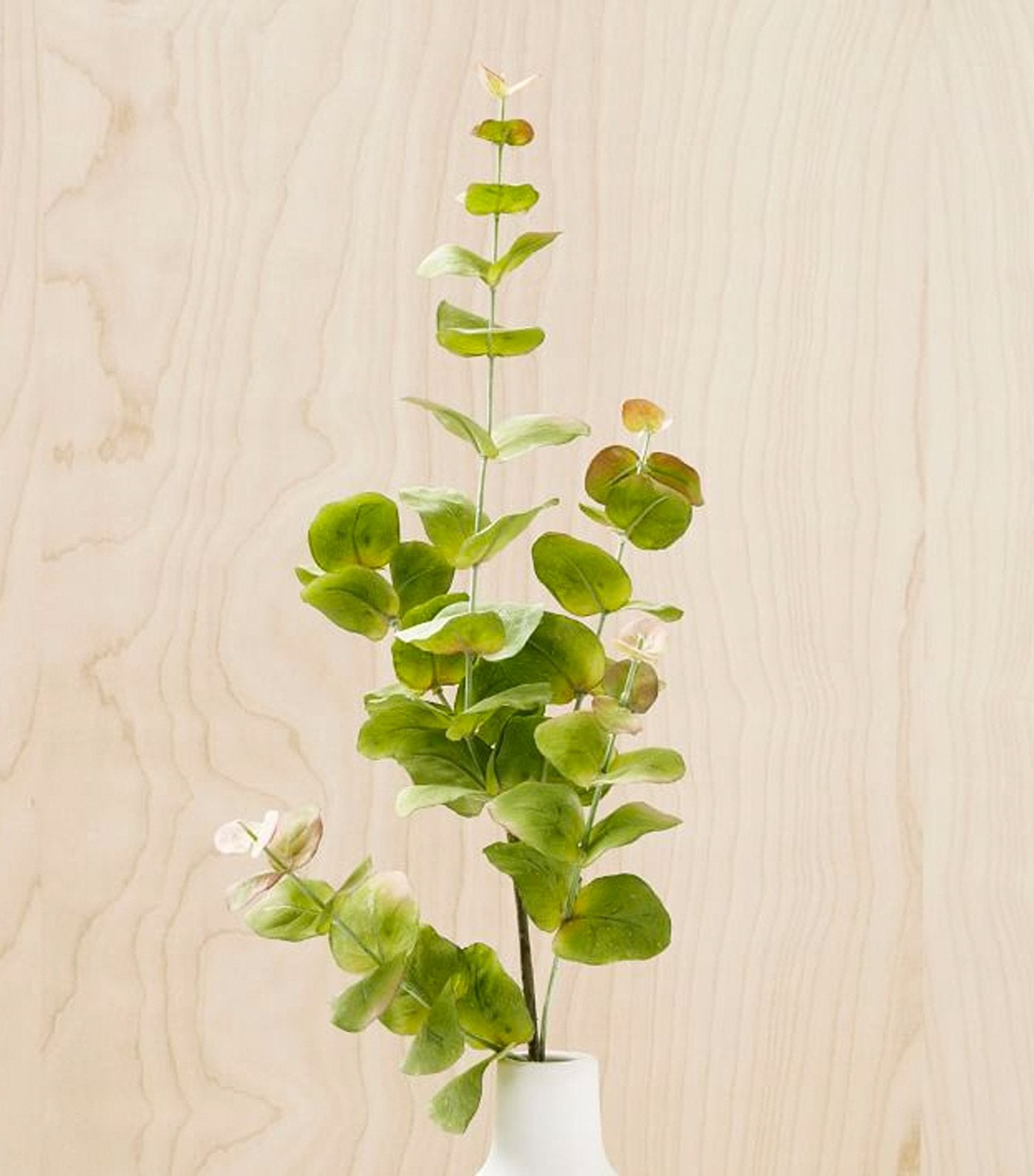 west elm Faux Eucalyptus Branch