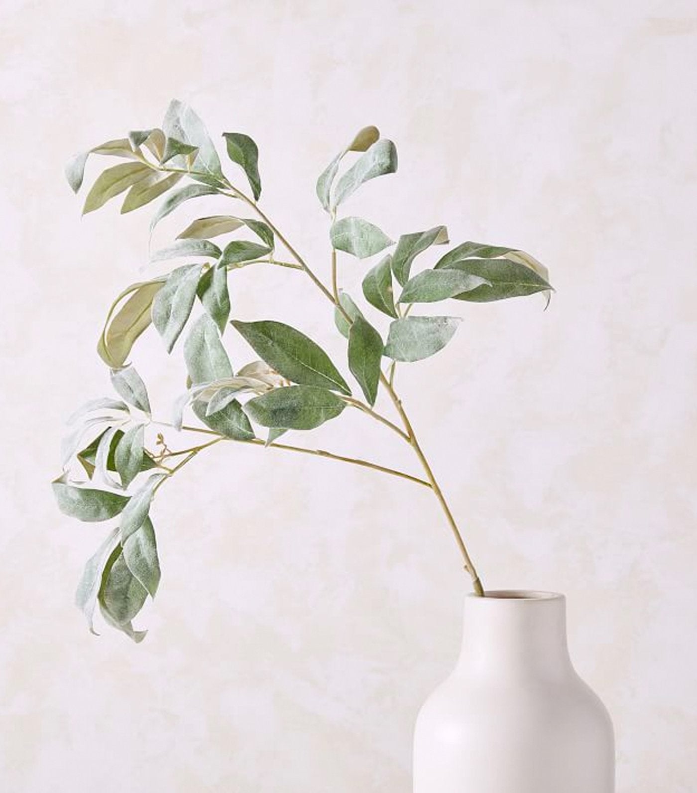 west elm Faux Lamb's Ear Branch