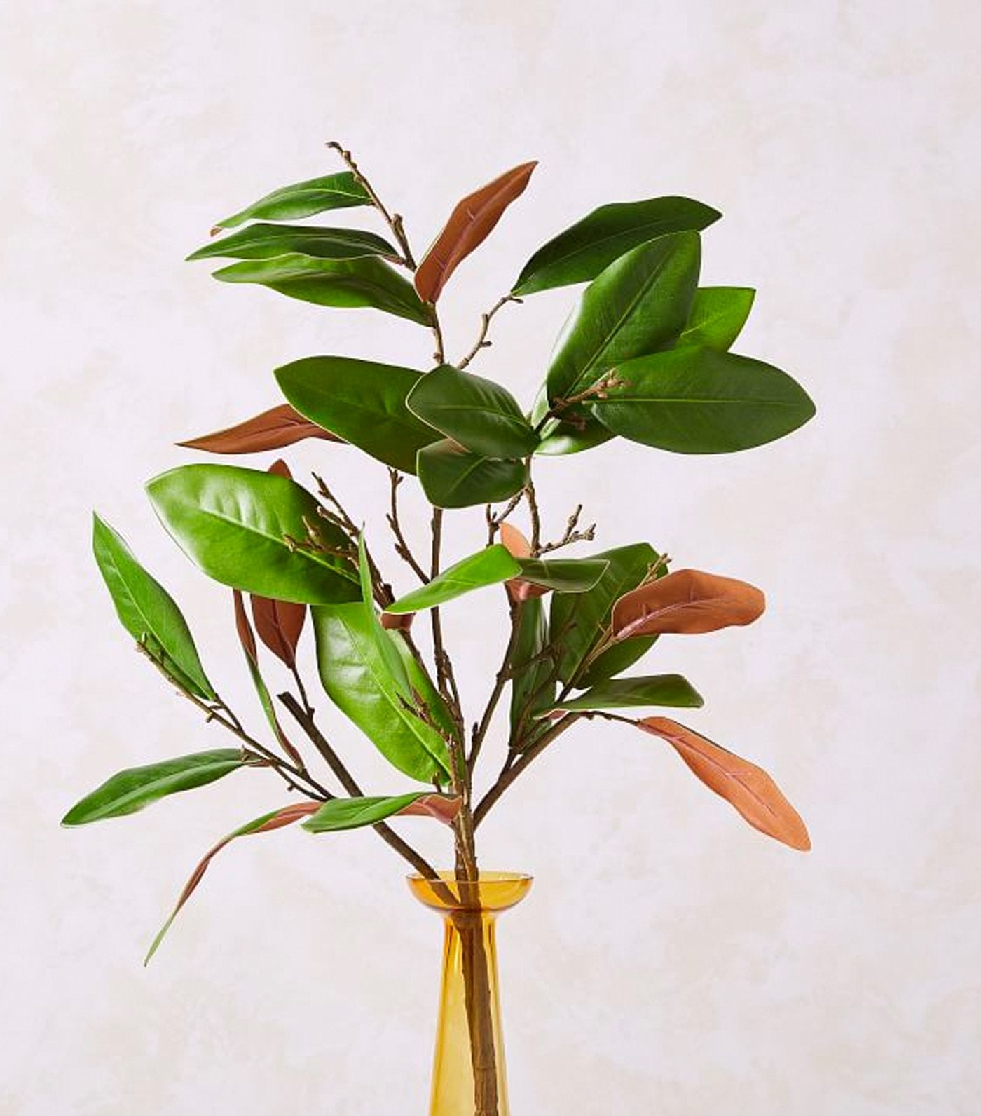 west elm Faux Green Magnolia Leaves Branch