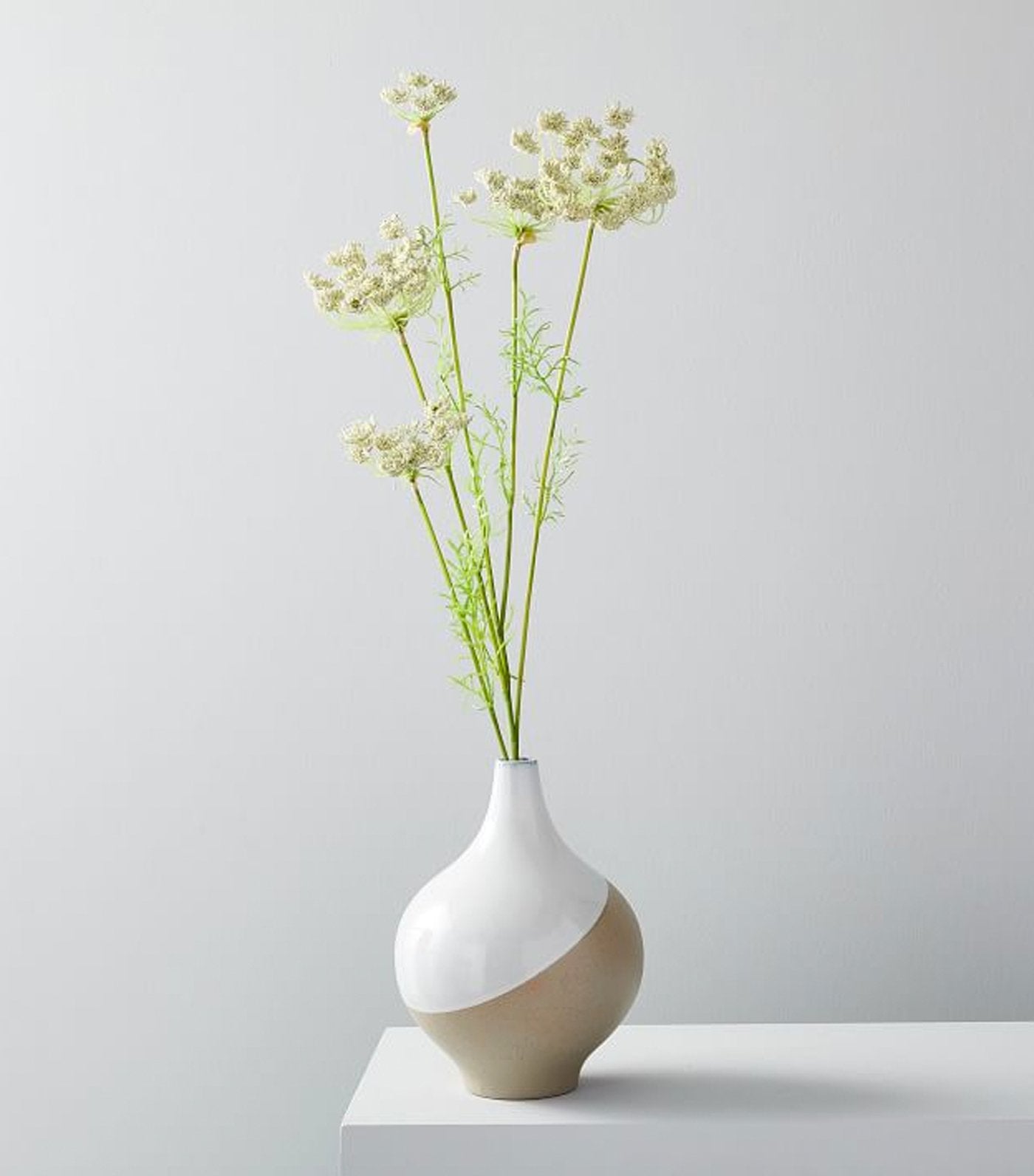 west elm Faux Queen Anne's Lace 