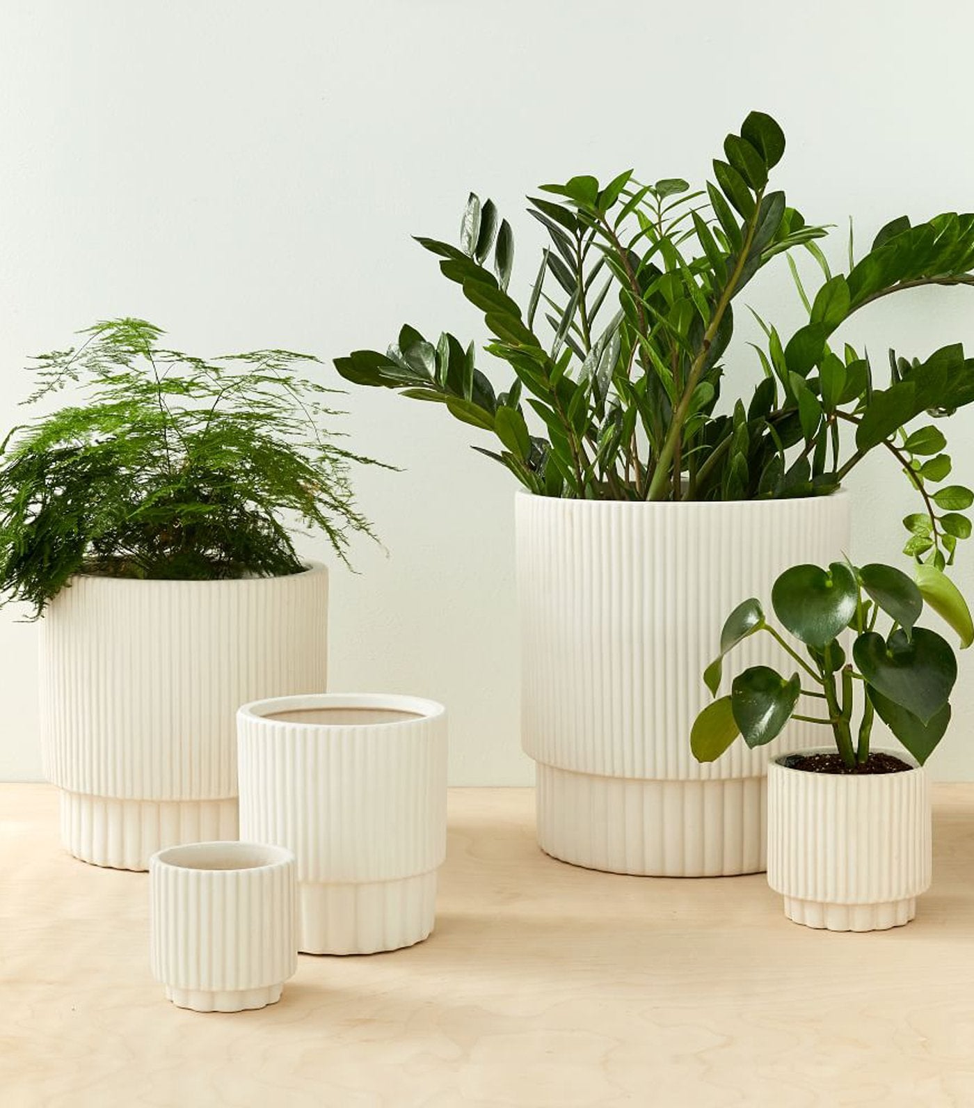 west elm Fluted Planters - White 
