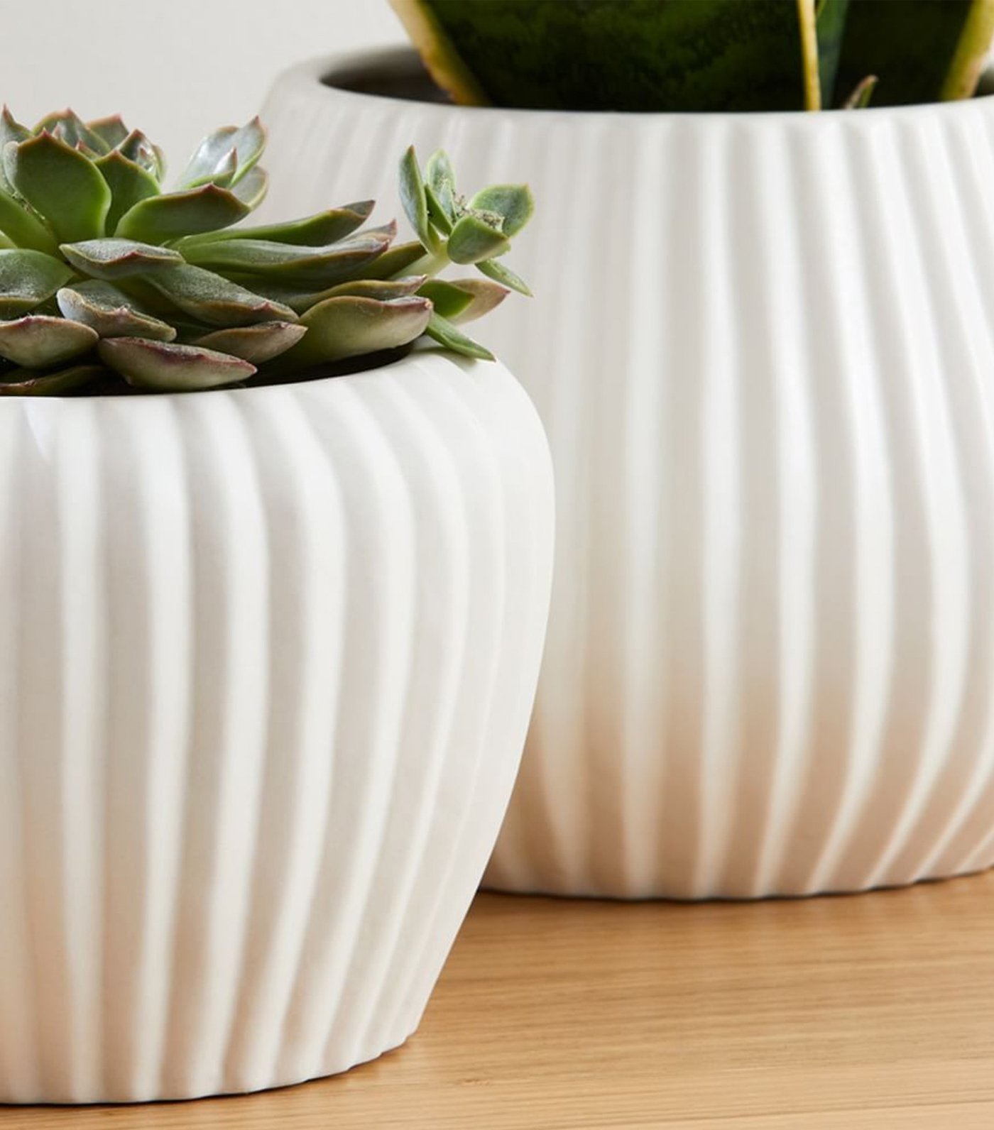 west elm Sanibel Planters