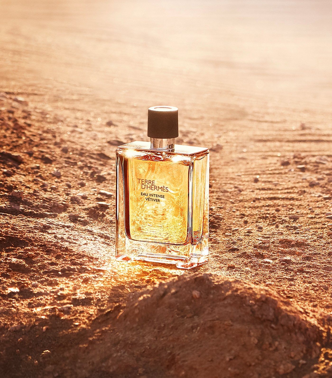  Hermès Terre d'Hermès Eau Intense Vétiver Eau de Parfum H Bottle Limited Edition 100ml