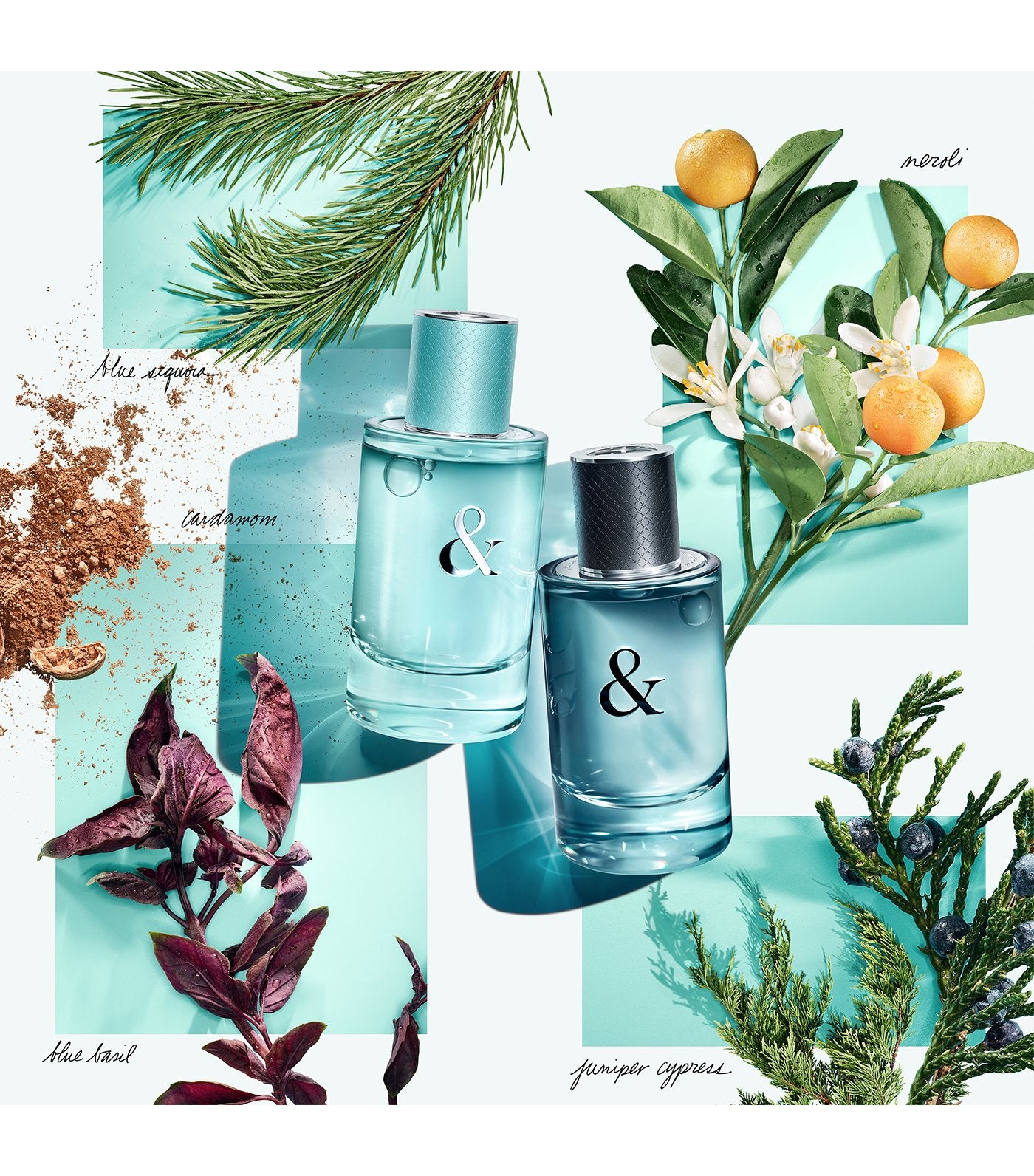 Tiffany & Love Eau de Toilette for Him